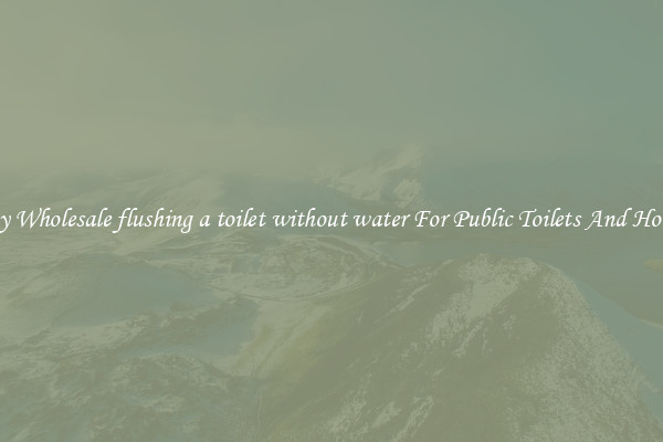Buy Wholesale flushing a toilet without water For Public Toilets And Homes