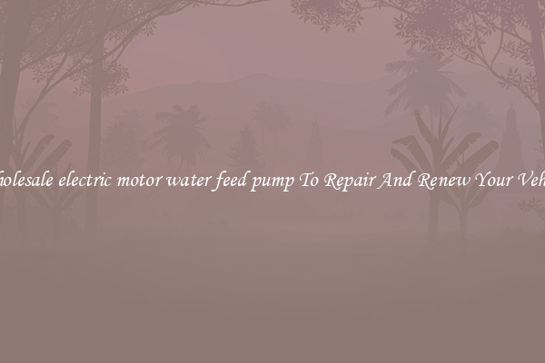 Wholesale electric motor water feed pump To Repair And Renew Your Vehicle