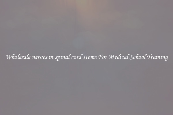 Wholesale nerves in spinal cord Items For Medical School Training