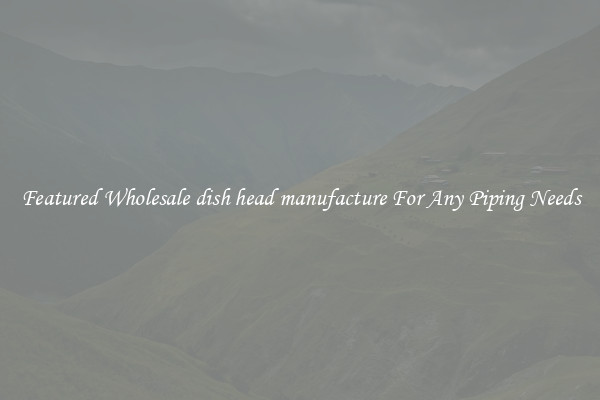Featured Wholesale dish head manufacture For Any Piping Needs