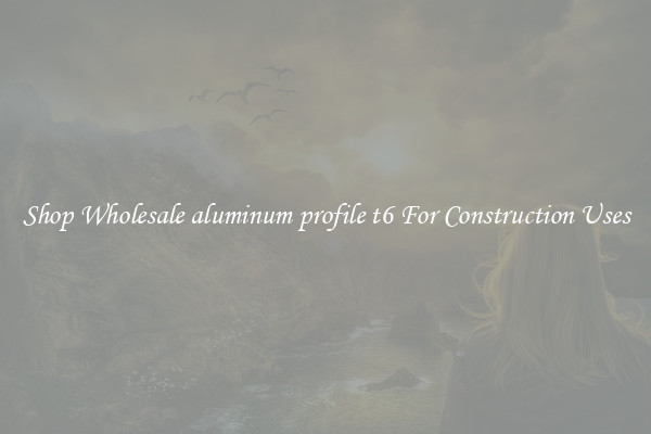 Shop Wholesale aluminum profile t6 For Construction Uses