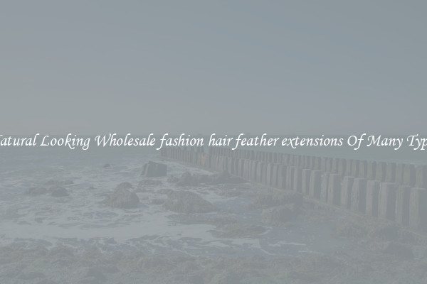Natural Looking Wholesale fashion hair feather extensions Of Many Types