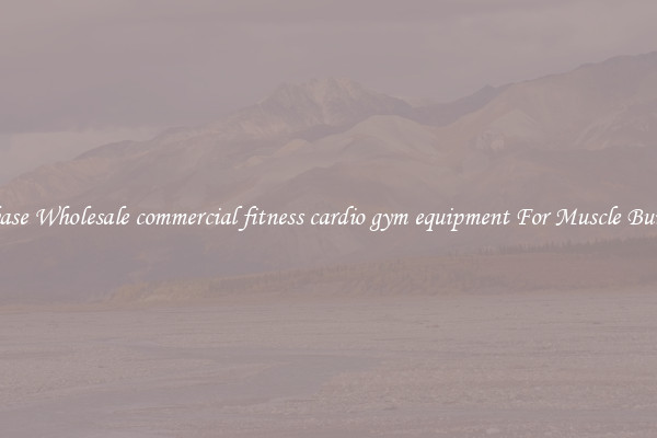 Purchase Wholesale commercial fitness cardio gym equipment For Muscle Building.