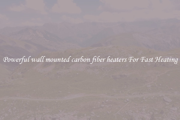 Powerful wall mounted carbon fiber heaters For Fast Heating