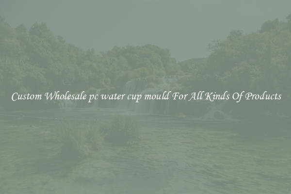 Custom Wholesale pc water cup mould For All Kinds Of Products