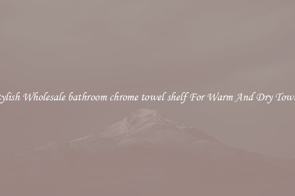 Stylish Wholesale bathroom chrome towel shelf For Warm And Dry Towels