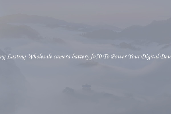 Long Lasting Wholesale camera battery fv50 To Power Your Digital Devices