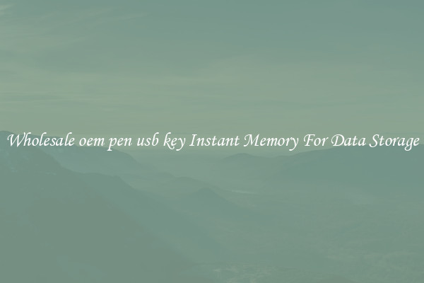 Wholesale oem pen usb key Instant Memory For Data Storage