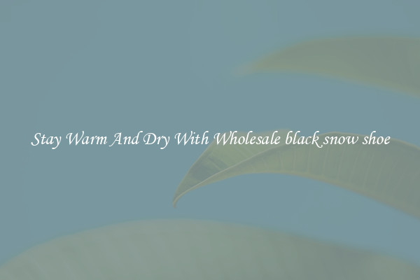 Stay Warm And Dry With Wholesale black snow shoe