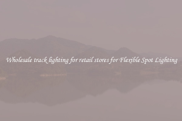 Wholesale track lighting for retail stores for Flexible Spot Lighting
