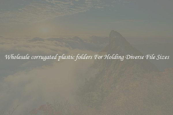 Wholesale corrugated plastic folders For Holding Diverse File Sizes