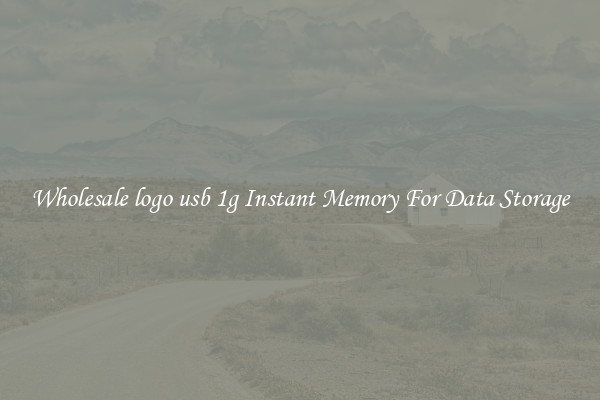 Wholesale logo usb 1g Instant Memory For Data Storage