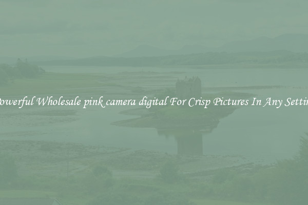 Powerful Wholesale pink camera digital For Crisp Pictures In Any Setting