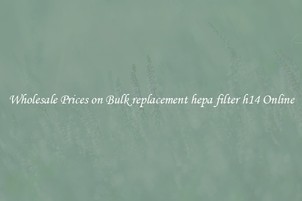 Wholesale Prices on Bulk replacement hepa filter h14 Online