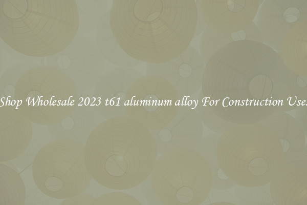 Shop Wholesale 2023 t61 aluminum alloy For Construction Uses