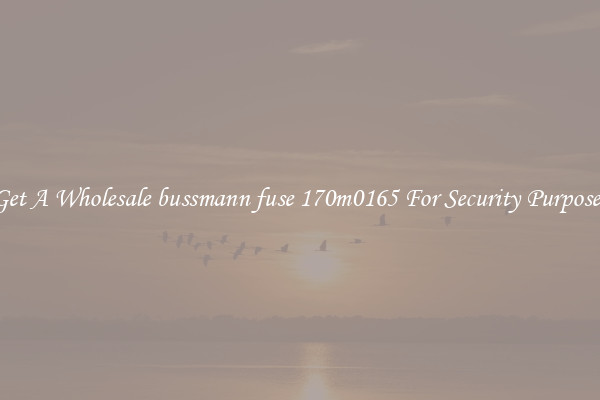 Get A Wholesale bussmann fuse 170m0165 For Security Purposes