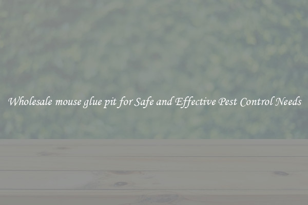 Wholesale mouse glue pit for Safe and Effective Pest Control Needs
