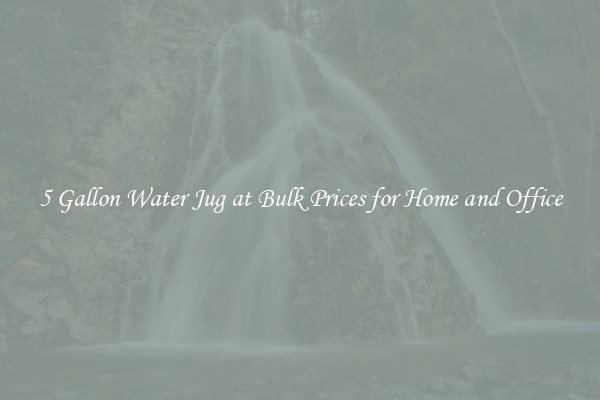 5 Gallon Water Jug at Bulk Prices for Home and Office