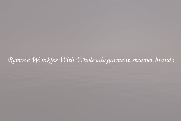 Remove Wrinkles With Wholesale garment steamer brands